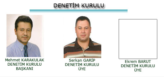 Denetim Kurulu